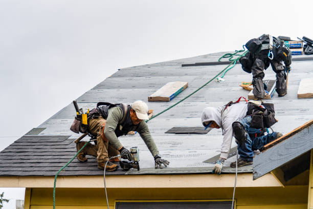 Professional Gutter Installation technician working in Saint Helena, NE